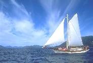 'Ocean Light' at sail