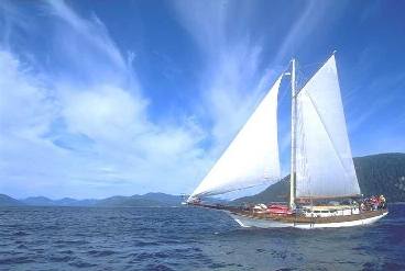 'Ocean Light' at sail