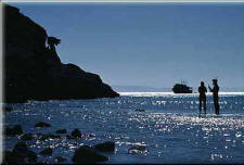 beachcombing at Danzante
