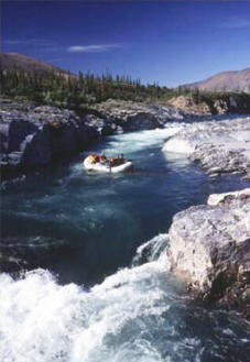 Firth River Slideshow - This rapid is called ''sheep slot'', named after the Yukon's most northerly Dall Sheep that inhabit the Park.