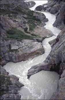 Alsek and Tatshenshini Rivers - The Tweedsmuir Glacier squeezes the Alsek at Turnback Canyon. Here we employ a helicopter to lift us and our gear around the innavigable canyon.