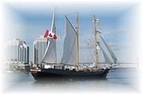 The Caledonia Arriving in Halifax