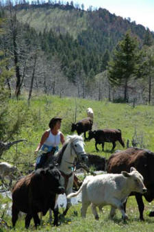 Photo by: Dave Reese/Montana Living