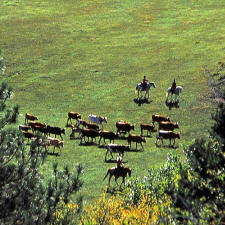 Colorado Trails Dude and Guest Ranch