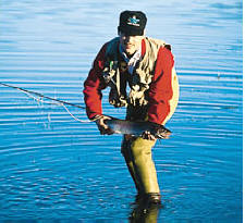Another Nice Trout