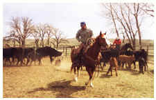 Corral