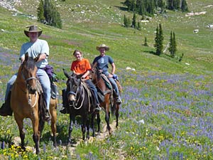 Horse Trips & Wildflowers in the High Mountains