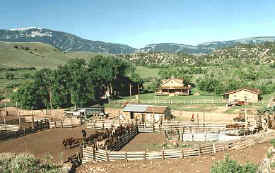 Dry Head Ranch - Picture by Steffi Pilz