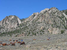 cattle_drives-017.jpg