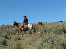 cattle_drives-008.jpg
