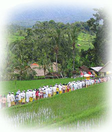 Horse riding vacations in Bali