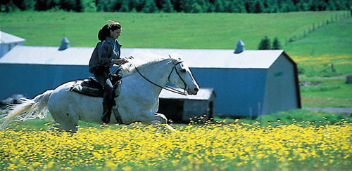 Inn and Lodge Rides