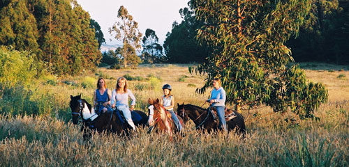 Short equestrian Getaways