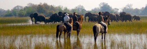 On horseback in the delta with Hidden Trails