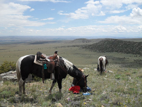 Montana Horse Riding Tour Ranch Vacation USA