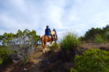 Equestrian Lodge