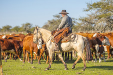 Gaucho Experience in Corrientes