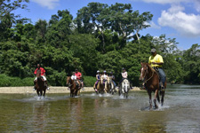 Belize Jungle Trails