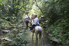 Mayan Jungle Ride with Caracol excursion