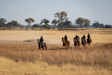 Okavango Big Five Safari - 6 days