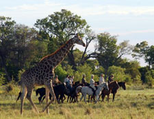 Okavango Big Five Safari