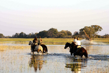 Okavango Delta Macatoo Safari