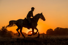 Land of the Giants - Tuli Riding Safari