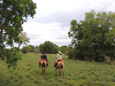 Pantaneiro Ride in the Pantanal