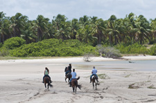 Brazilian Beaches on Mangalarga Marchador