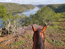 Brazilian Outback Adventure