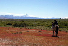 Crossing the Andes from Chile into Argentina