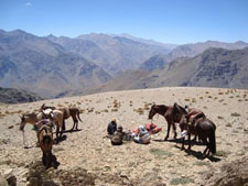 Norte Chico Condor Trail