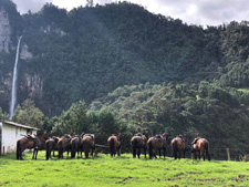 Colombian Andes Adventure