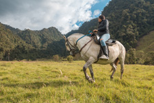 Best of Colombia