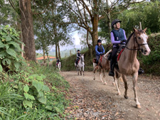 Colombian Coffee Trails