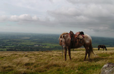 The Dartmoor Explorer