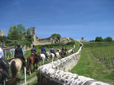 Bordeaux Wine & Castles Trails