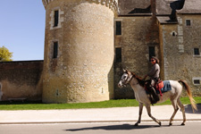 Renaissance Castles of the Loire