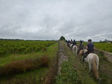 Champagne Vineyards Ride