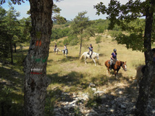 Relaxed Ride in Provence