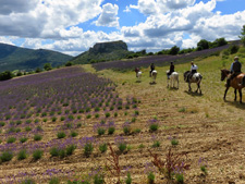 Provence Explorer Ride
