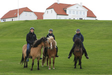 Reykjavik's Secret Trails