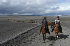 Between Glaciers into the Desert