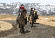 Icelandic Winter Experience