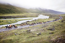 Northern Exposure Lake Myvatn