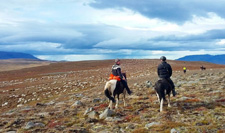 Shepherd's Trail in Northern Iceland