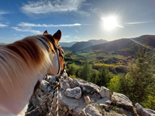 Western Riding in Isernia