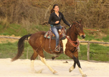 Parelli Natural Horsemanship & Trails in Umbria
