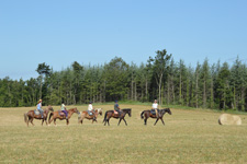 On Etruscan Trails in Tuscany