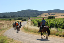 Tuscan Hills & Maremma Beach